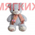 Мягкая игрушка Медведь DL106000207LB